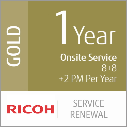 1 Year Gold Service Renewal (Low-Vol Production)