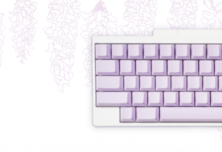 HHKB Professional Wisteria Keycaps blank