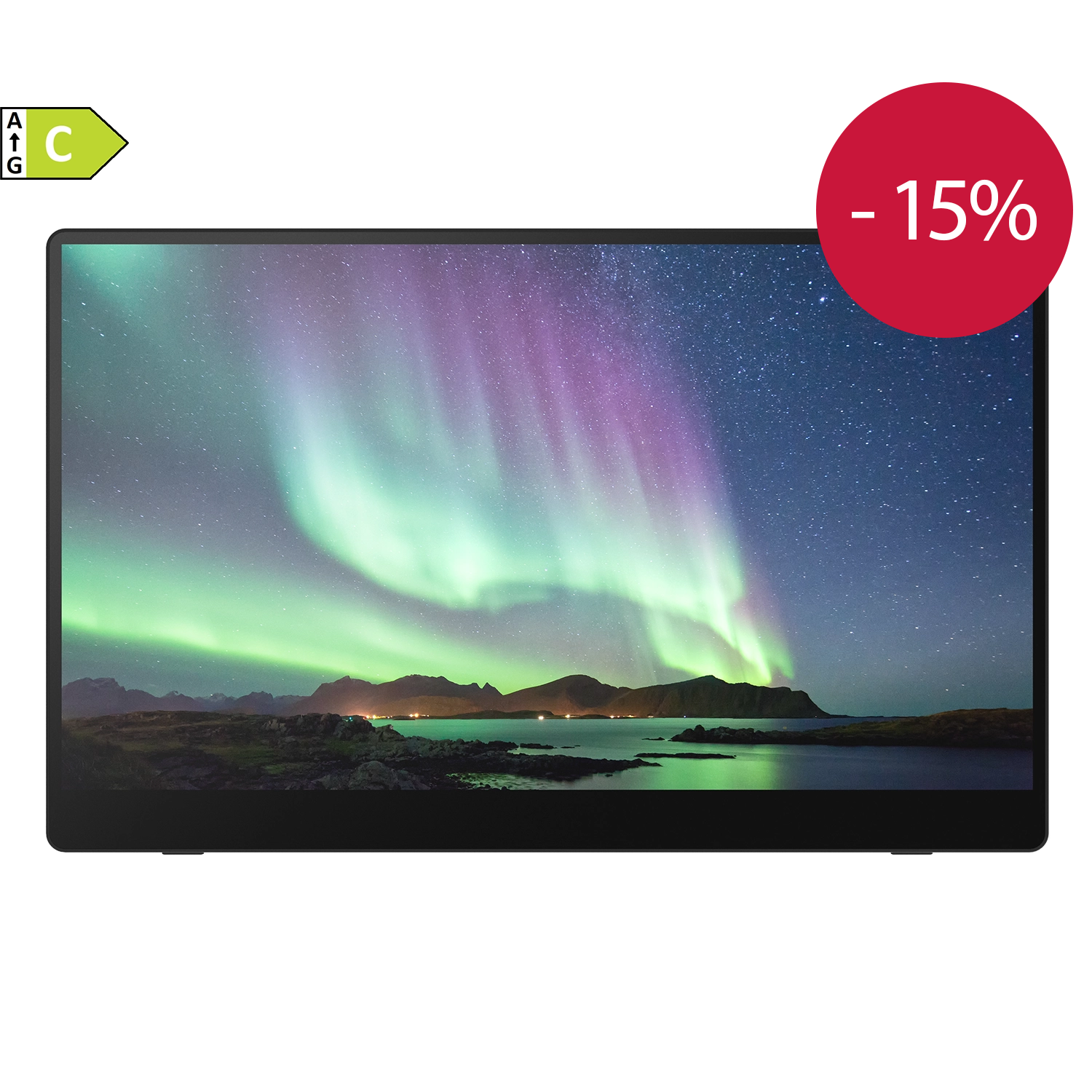 RICOH Portable Monitor 150