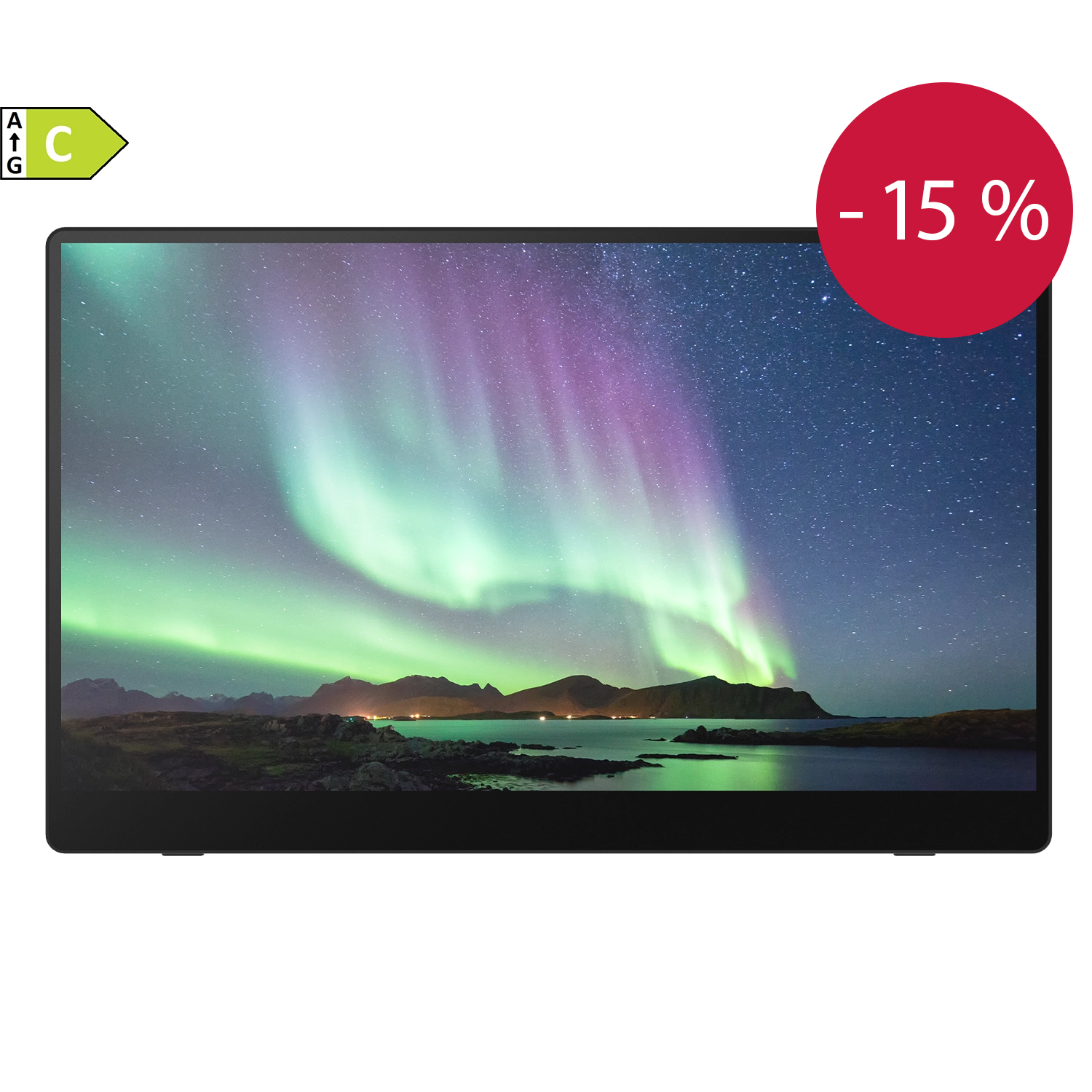 RICOH 150BW Mobiler Monitor