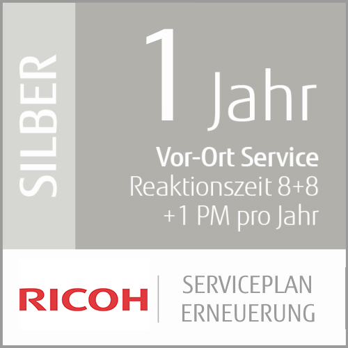 1 Jahr Silber Service-Erneuerung (Low-Vol Produktion)