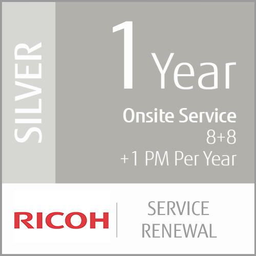 1 Year Silver Service Renewal (Low-Vol Production)