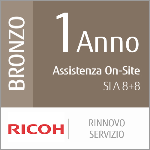 1 anno di rinnovo del servizio Bronze (produzione a basso - volume)