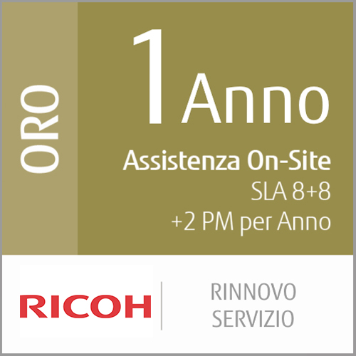 1 Anno Di Rinnovo Del Servizio Gold (Produzione A Basso - Volume)