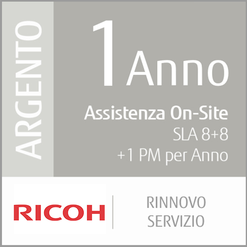 1 Anno Di Rinnovo Del Servizio Silver (Produzione A Basso - Volume)